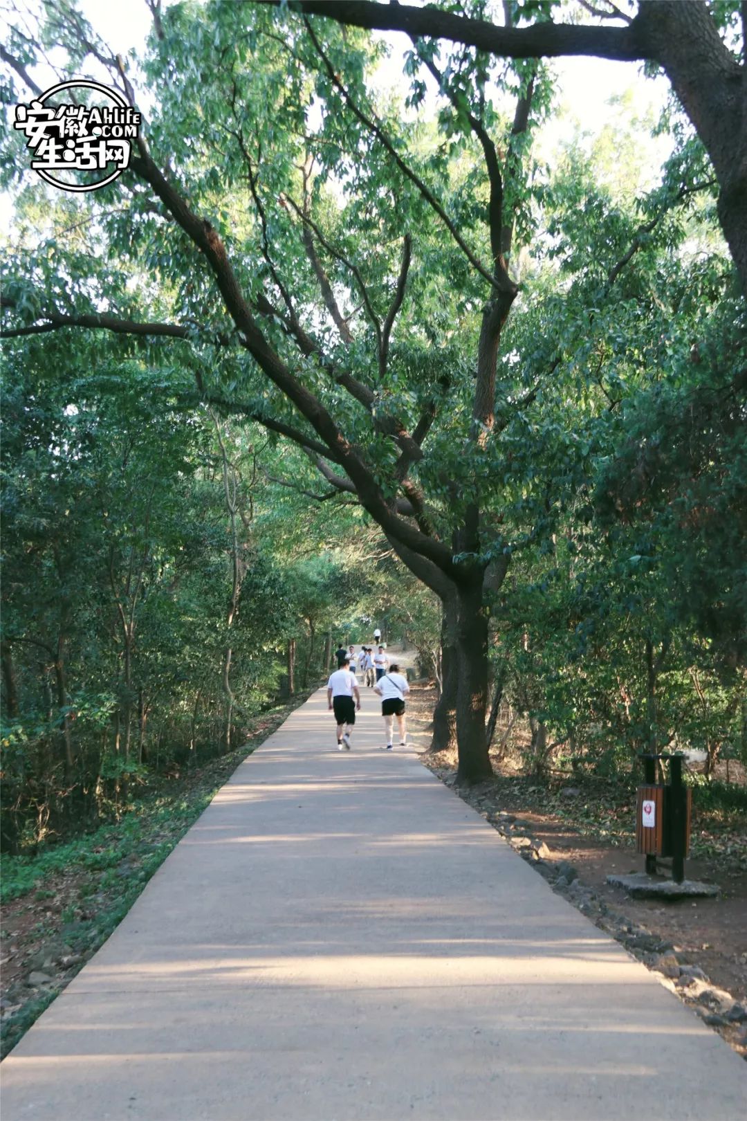 大蜀山,大蜀山爱情故事