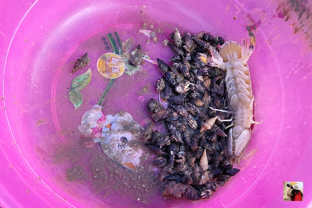 厦门冷门海边景点,厦门日出海滩哪里好玩