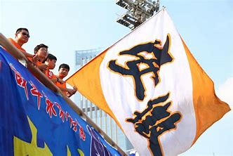 安徽的职业足球员,国家队中的安徽籍足球运动员