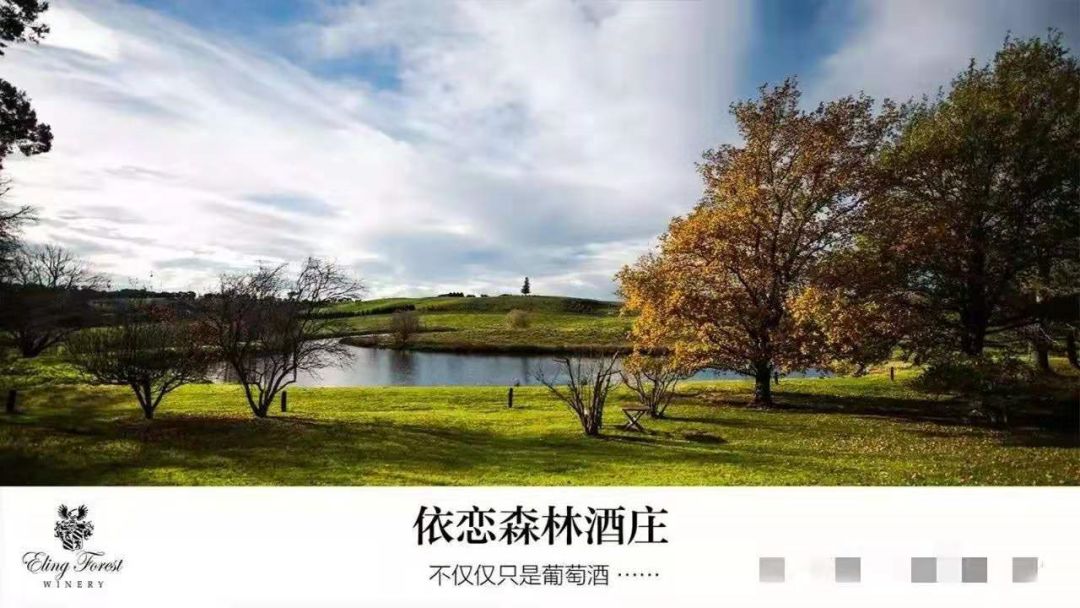 澳大利亚红酒小知识大全,一文了解意大利红酒