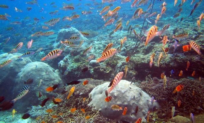 印尼巴厘岛旅游自由行,印尼巴厘岛攻略自由行