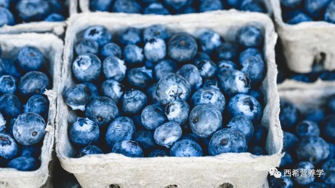 最好吃的10种食物排行榜,平民补气血的食物
