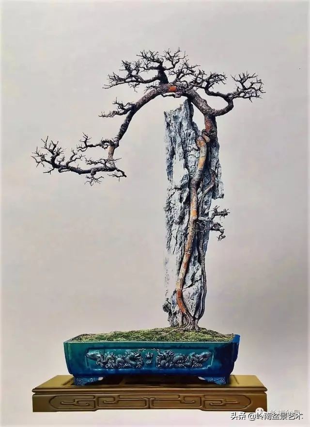 鎮礀缁濆閫㈢敓,鎮礀鐩嗘櫙澶у叏