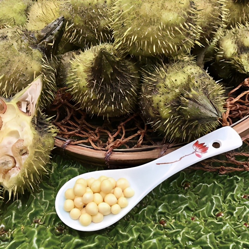 潮州市东凤镇芡实图片,潮州东凤镇新鲜芡实