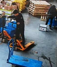 在野外发现甘蔗,在山里发现甘蔗