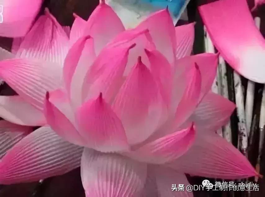 荷花灯折纸方法及步骤图,荷花折纸灯