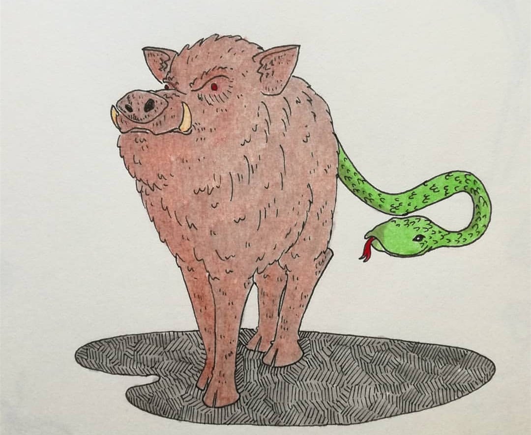 猪吃毒蛇为什么不会中毒,猪吃蛇不被毒蛇咬吗