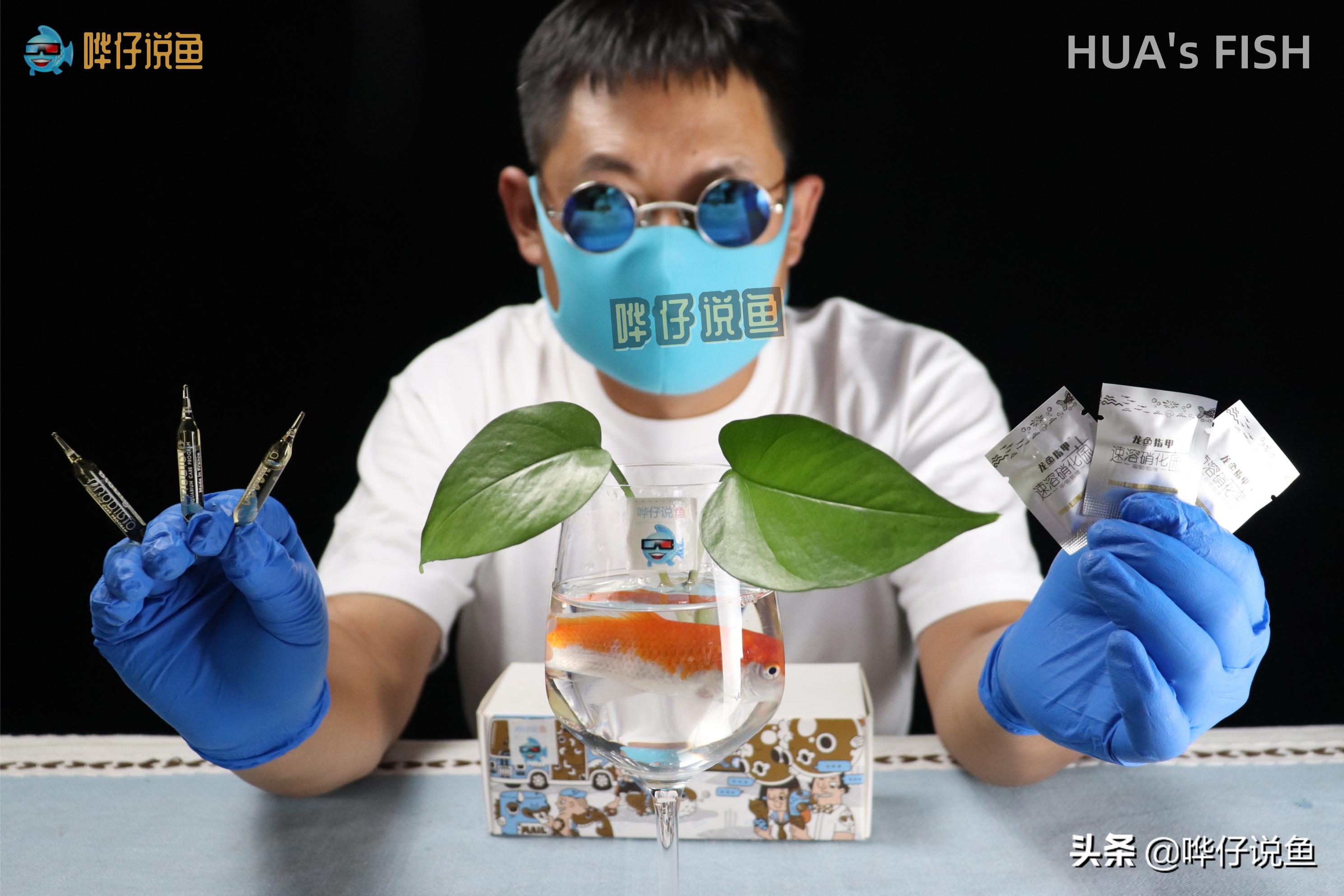 有人说，硝化细菌和鱼缸滤材都是水族圈的*局骗**，我觉得这话不靠谱