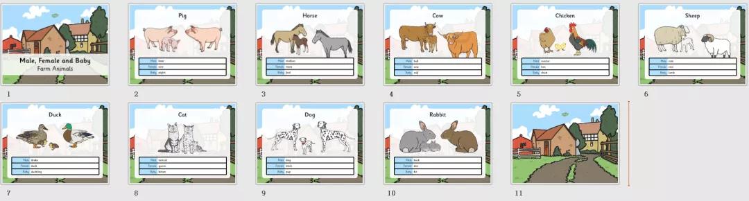 精美的英语教学ppt,英语教学分享ppt模板