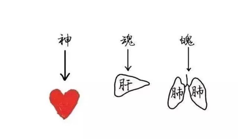 梦境预示着健康问题,为什么清醒梦起来不能再睡了