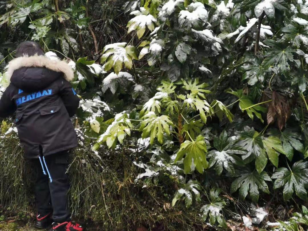 遵义金鼎山雪景,雪景景区推荐遵义