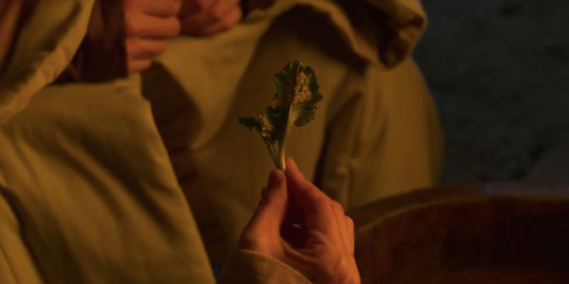 开播就霸榜热搜,目前热搜爆款