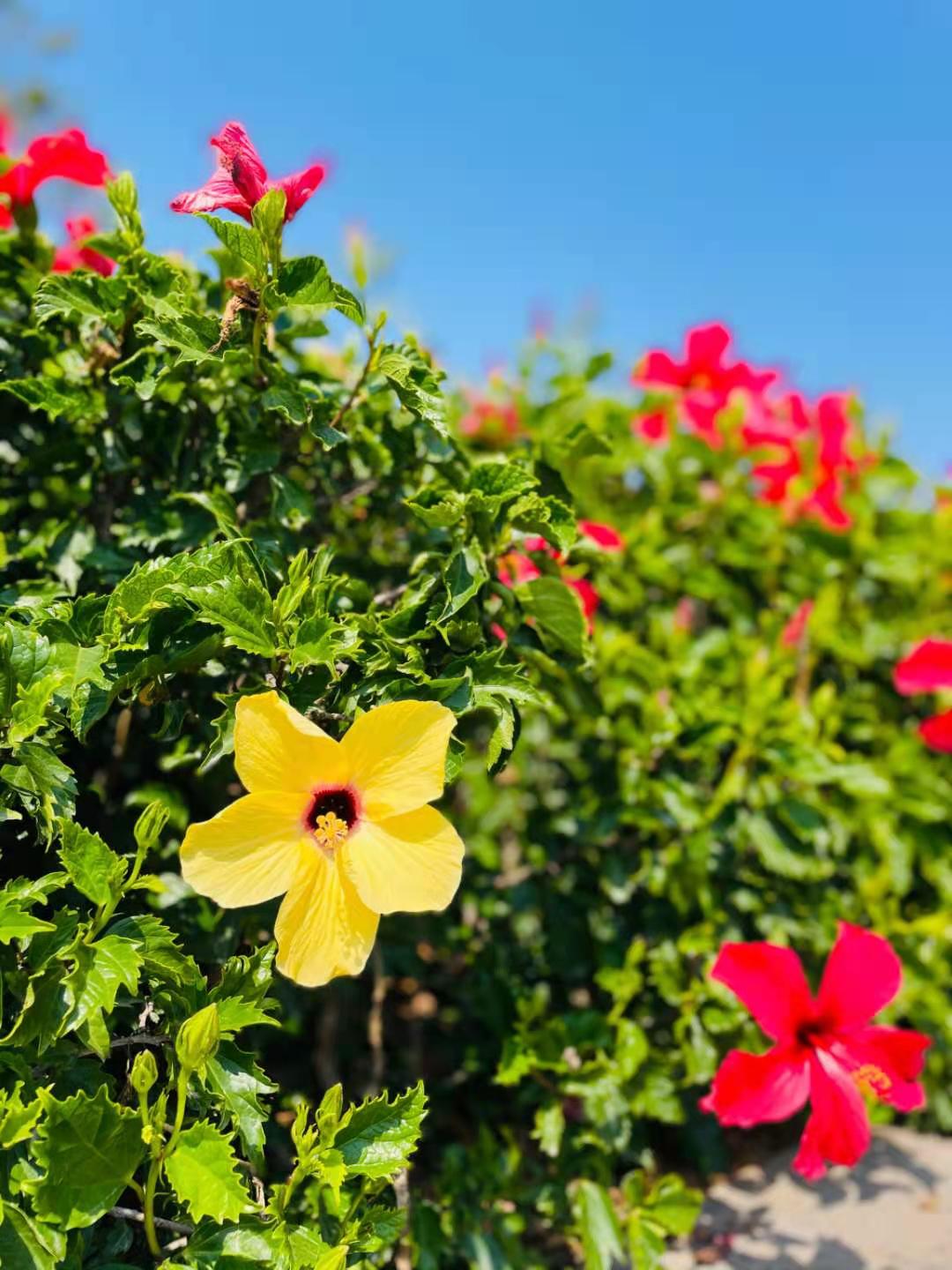 绘图写景的地名诗（一）奇趣诗连载111