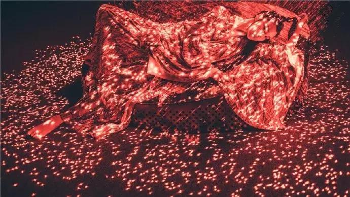 90后女孩拍稀有动物,90后女孩拍视频200万