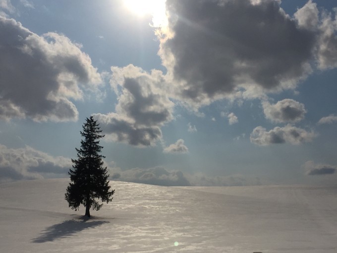 0语言，onepeople，日本北海道冬季往返8日自由行干货