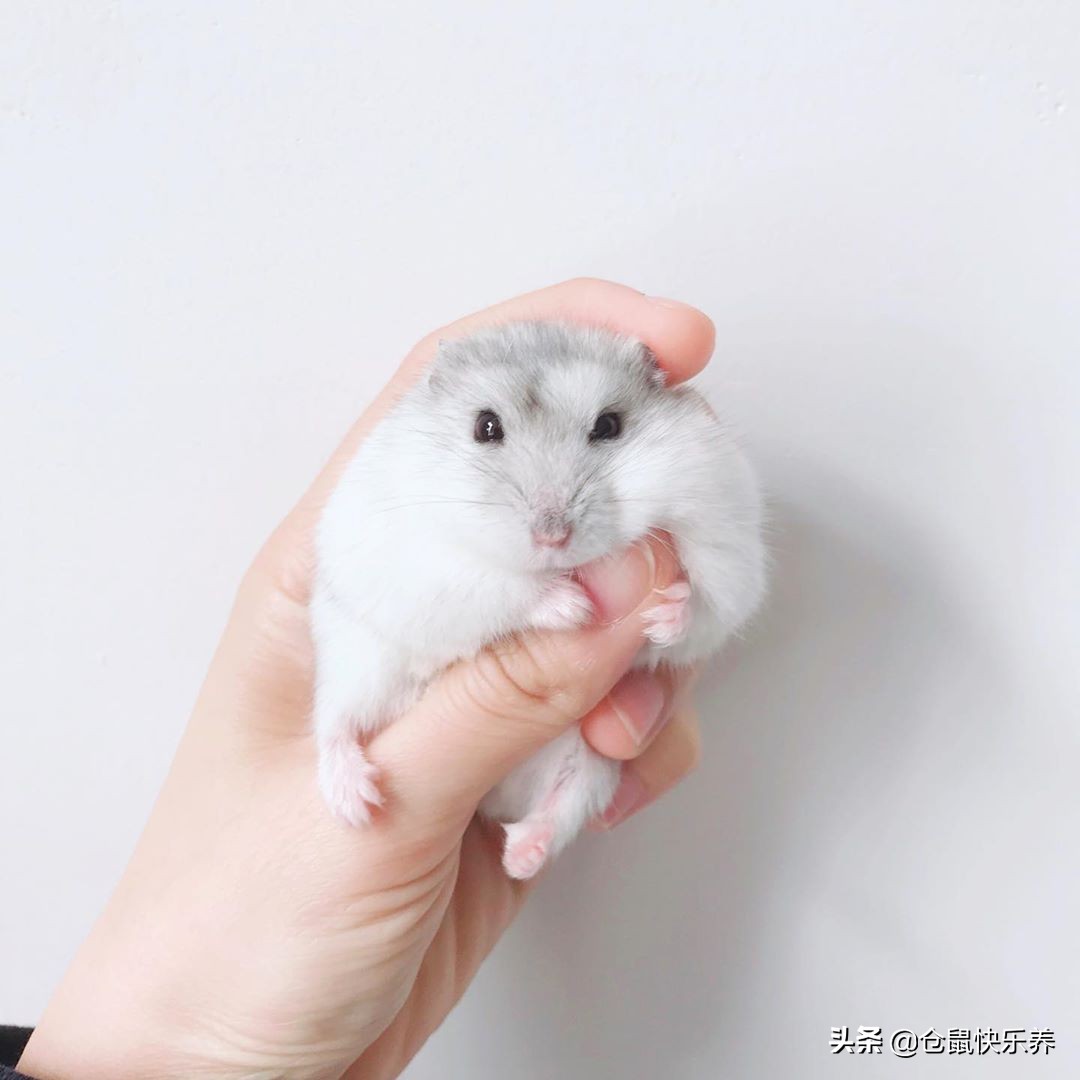 男子自制金口罩,男人自制口罩