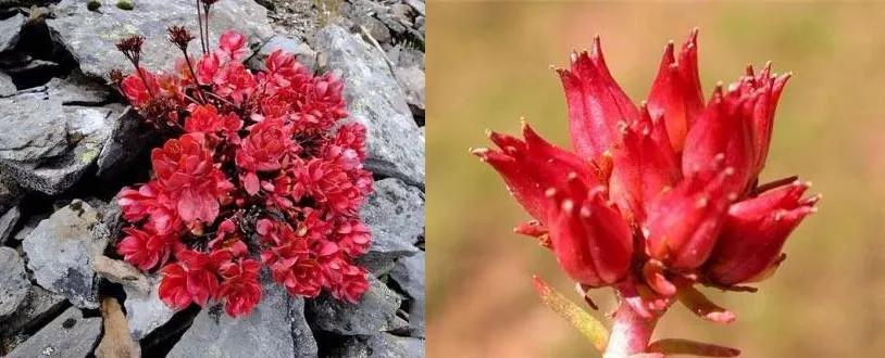 涂了隔离真的能保护皮肤吗,为什么不涂隔离底妆更服帖