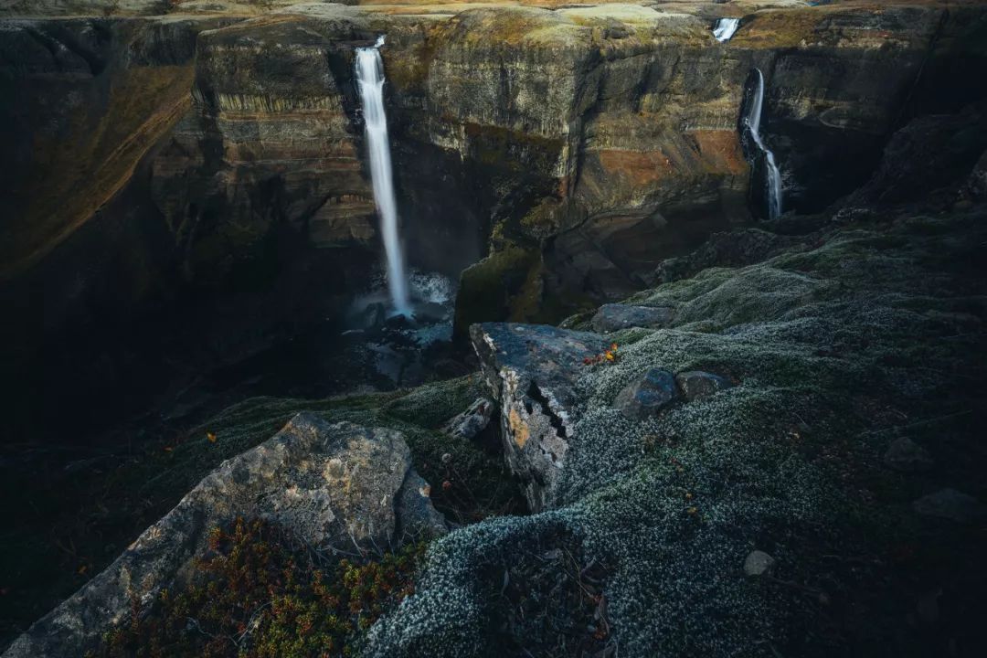 bw滤镜价格,bw滤镜哪里有正品