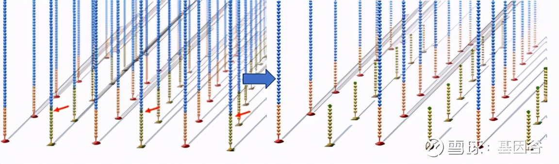 全场硬菜！分子诊断技术全解析