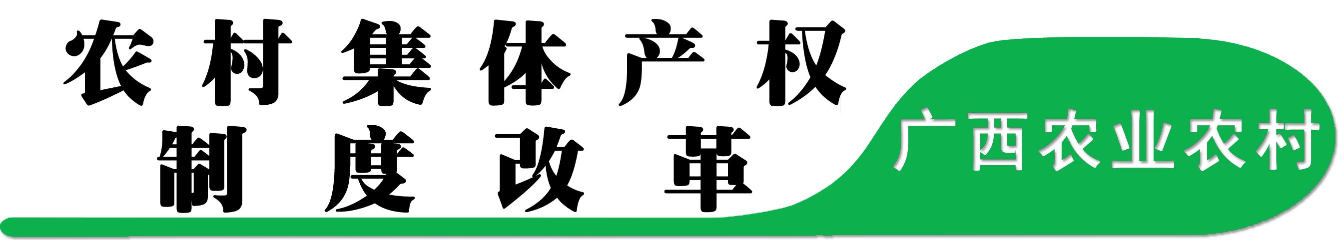 梧州市万秀区齐头并进多举措奋力攻坚清家底