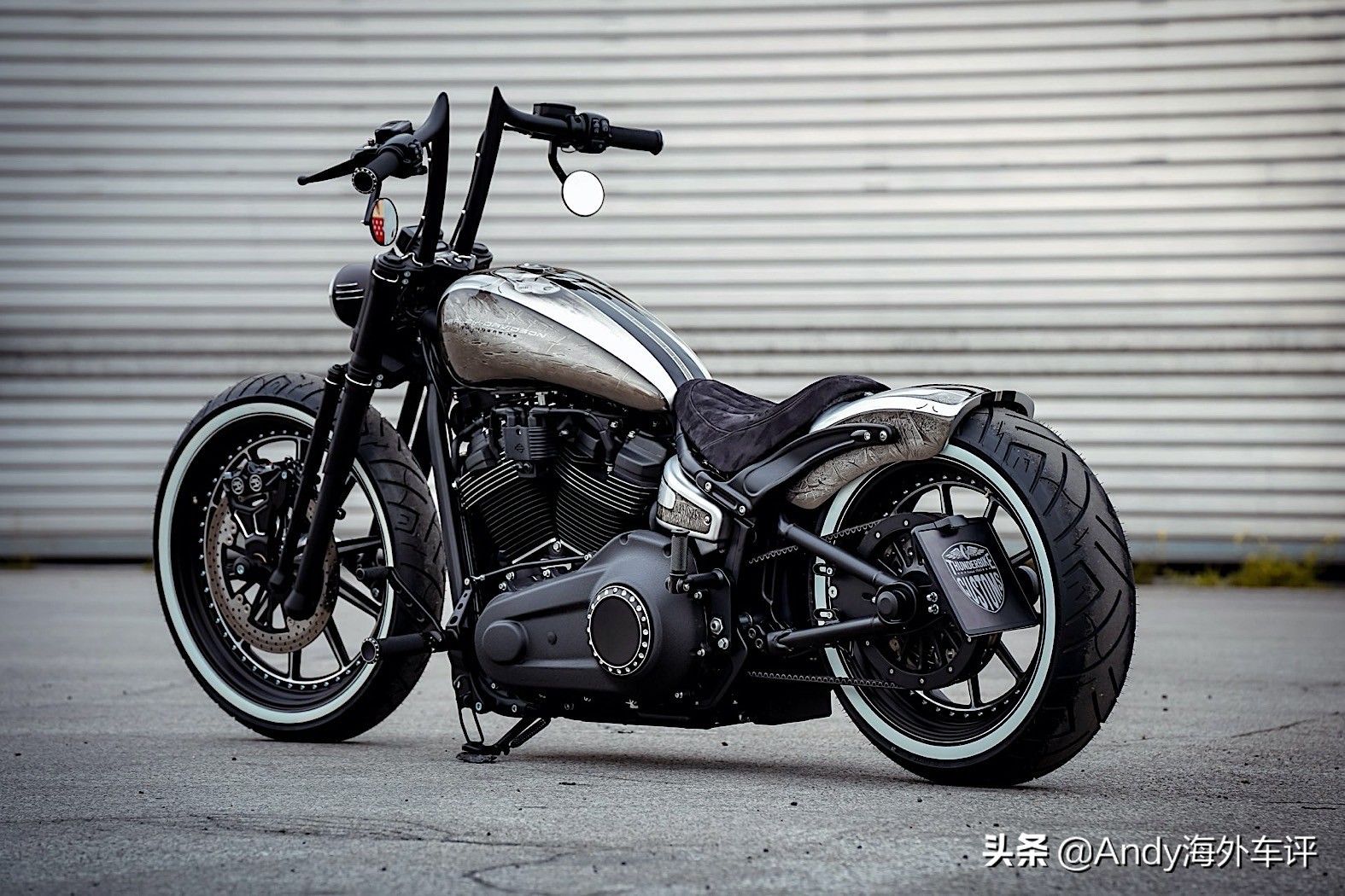 当哈雷遇上电摩,当哈雷遇上杜卡迪