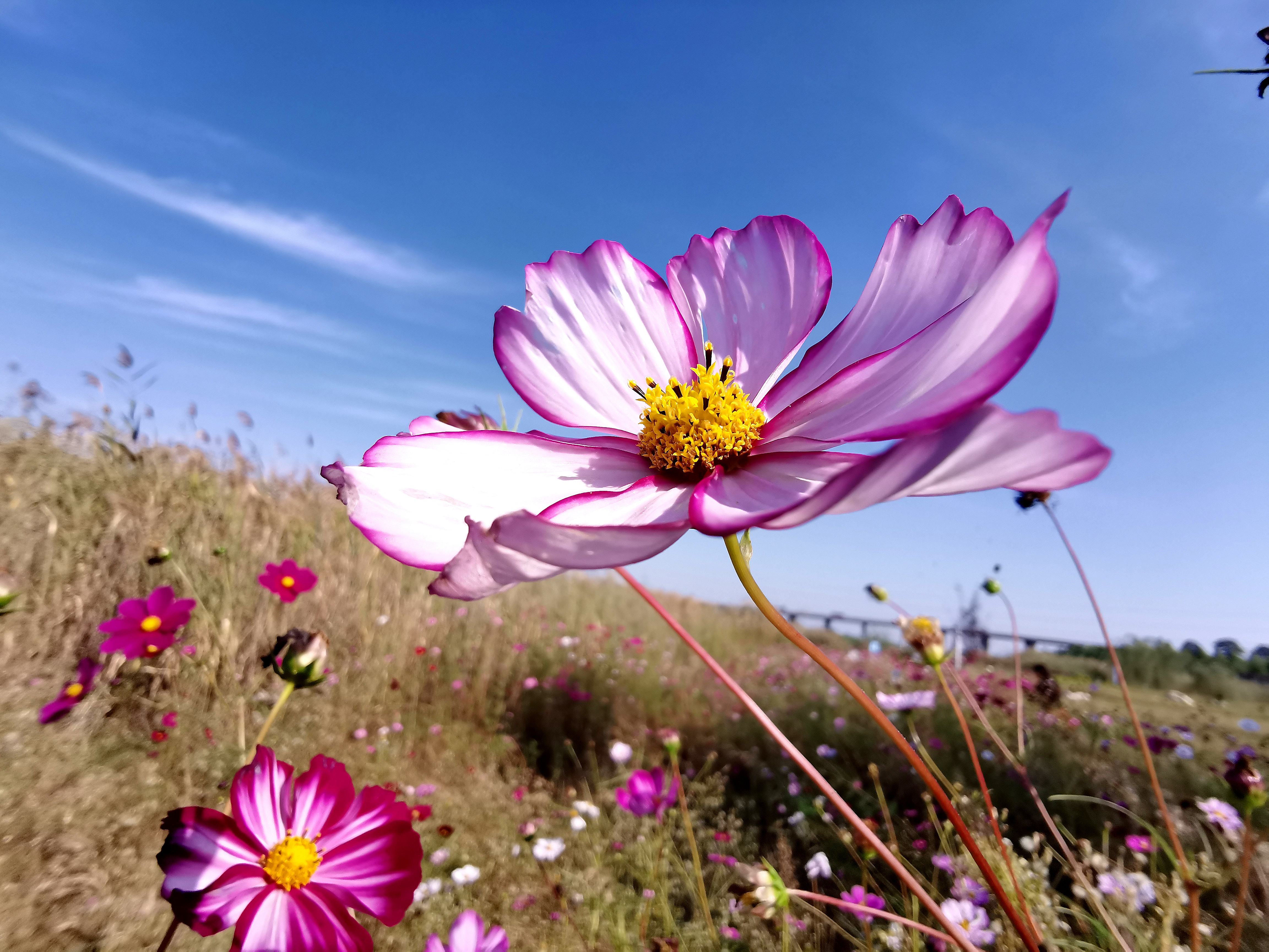 荆山旅游景点大全,荆山美景