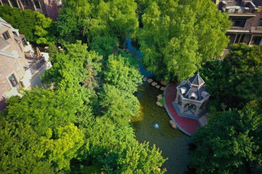 樱桃看房｜老朋友，好久不见之「唐城·壹零壹」