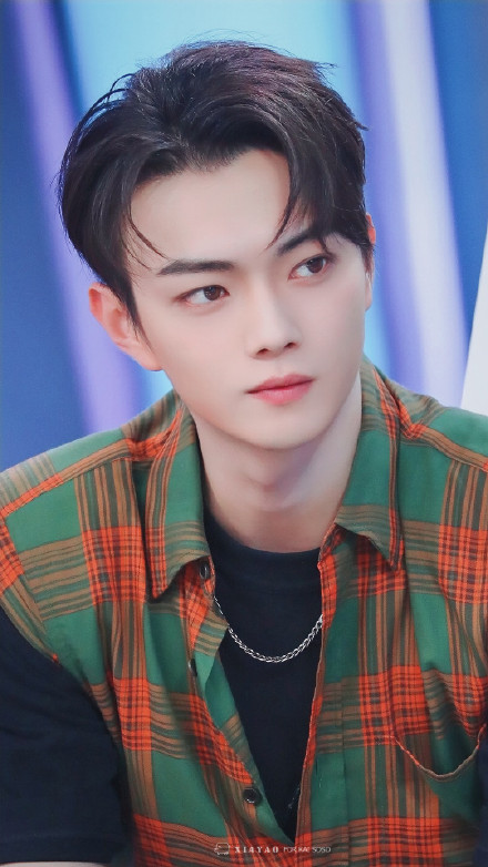 许凯上快本完整版,许凯澄清不演承欢记了吗