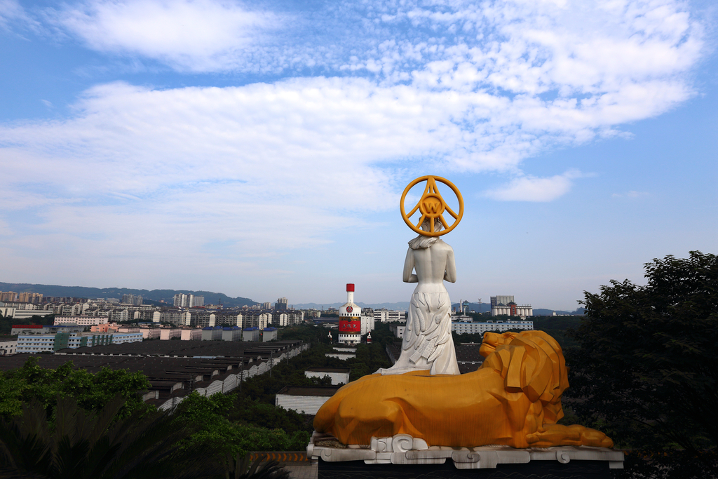 放了20年的浓香五粮液,五粮液浓香型五粮液