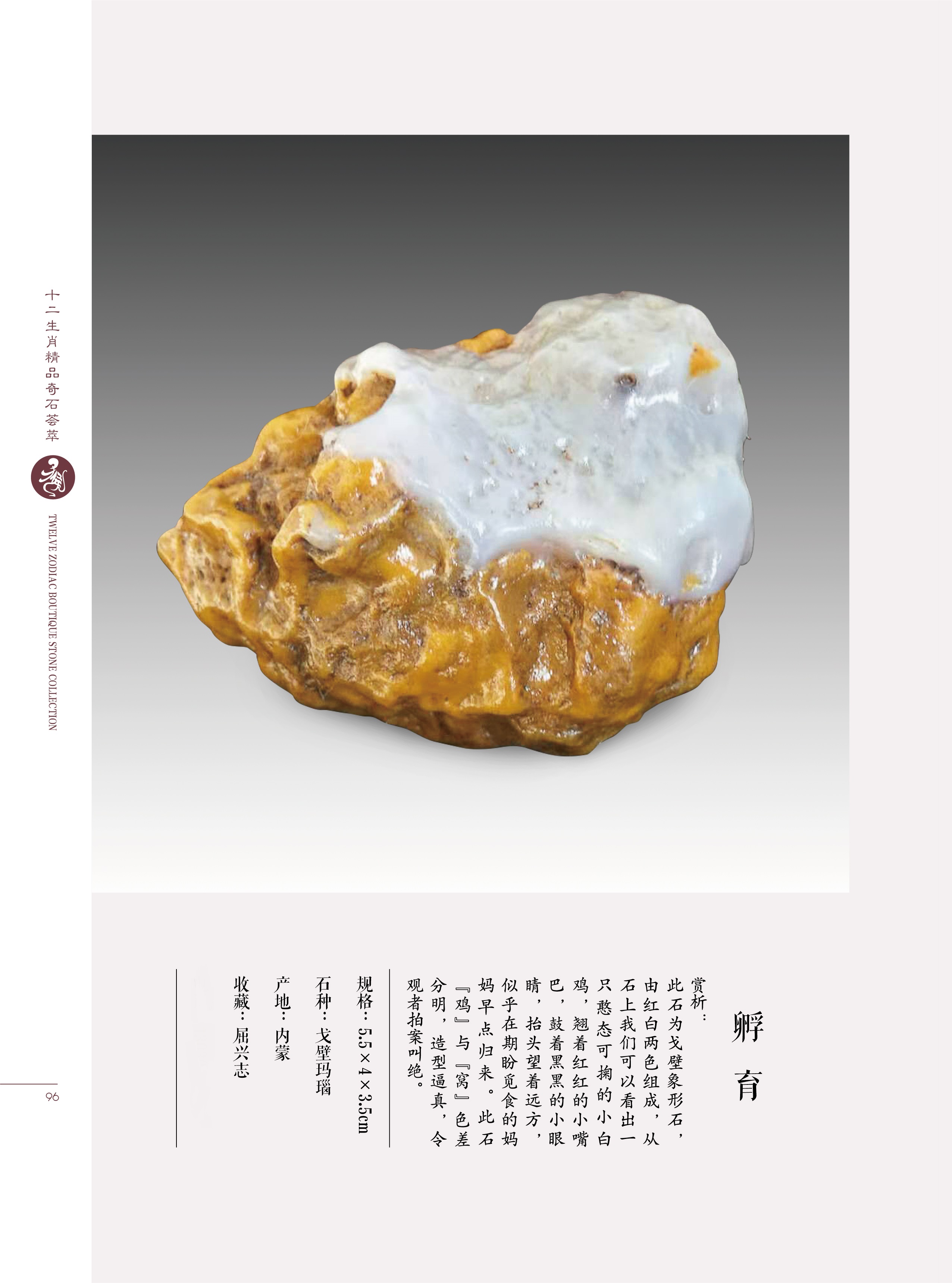 难道猴子真是石头变的?