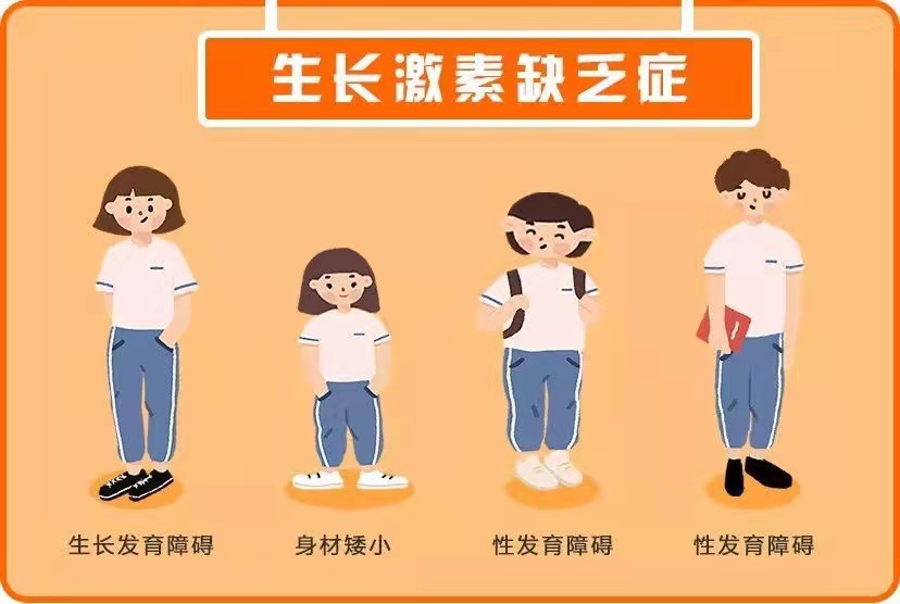 孩子打抑制针、生长激素的费用?