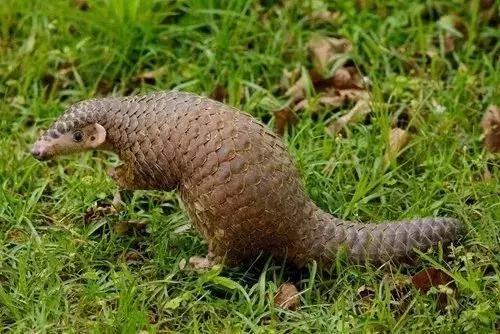 同一件衣服网红店的售价惊为天人？网红店的水有多深...