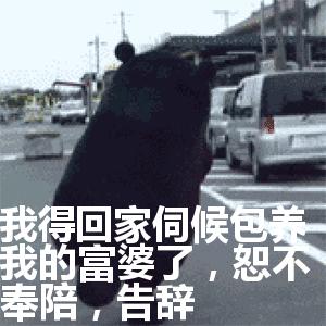 关于富婆表情包合集|没钱花了,求富婆*养包**