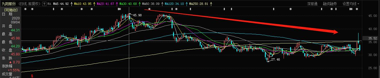 九阳股份这二年为啥股价一直跌,九阳股份这只股票怎么了