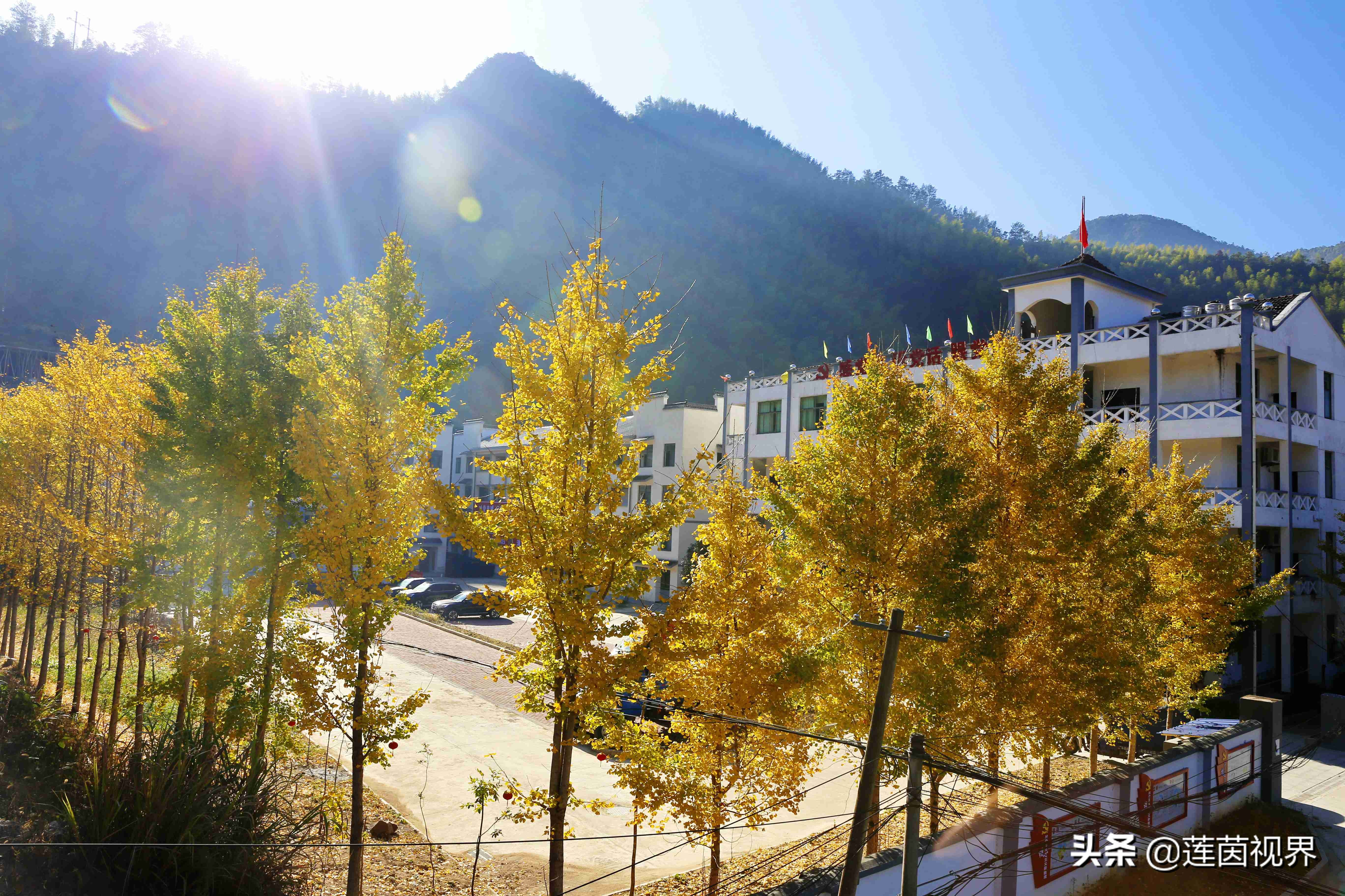 铜钹山夏天旅游哪里好玩,探险铜钹山原始森林