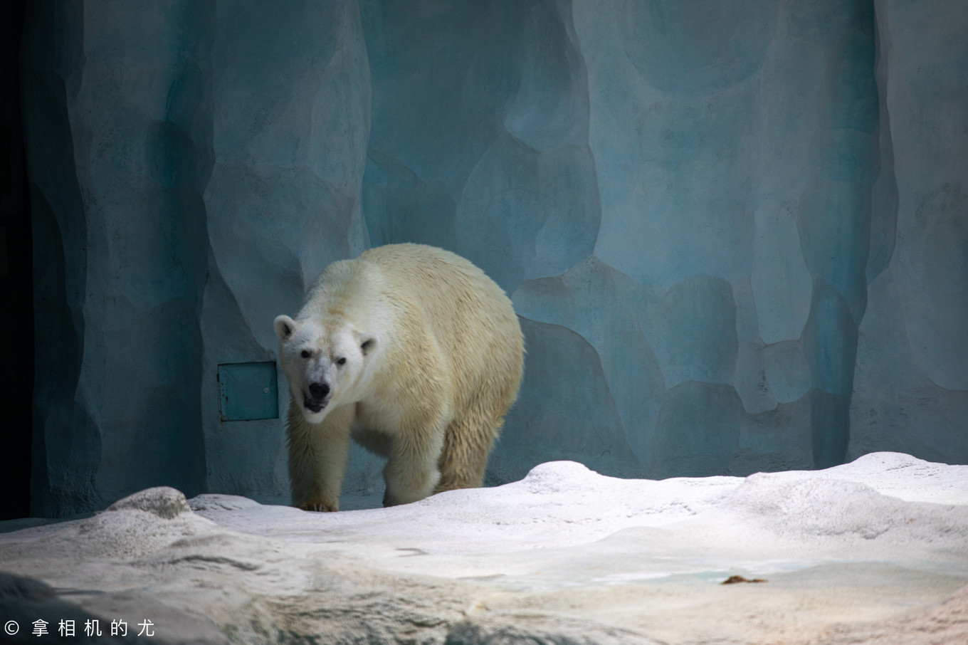 珠海横琴长隆海洋王国游玩全攻略,珠海长隆海洋王国跟香港海洋公园