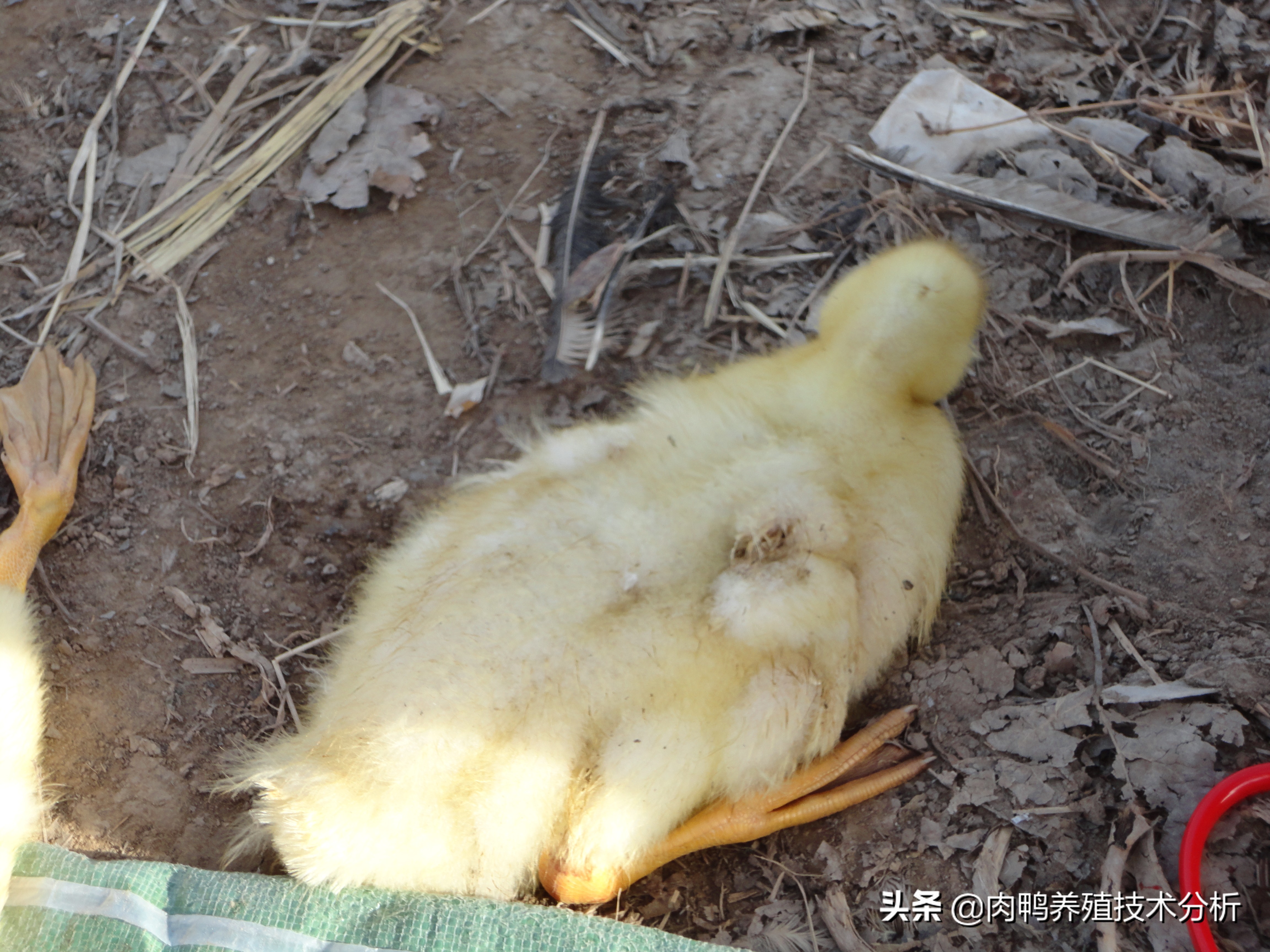 没有通风口如何换气,没有通风口怎么通风