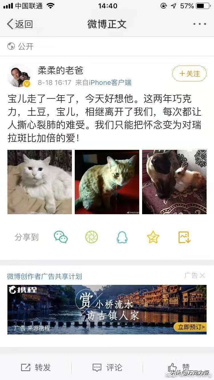 瑞拉热议——如何做好一名称职的铲屎官