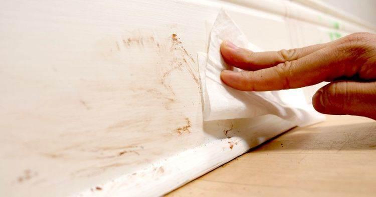 大扫除纱窗清洁必备知识,有纱窗挡住窗户怎么清洁