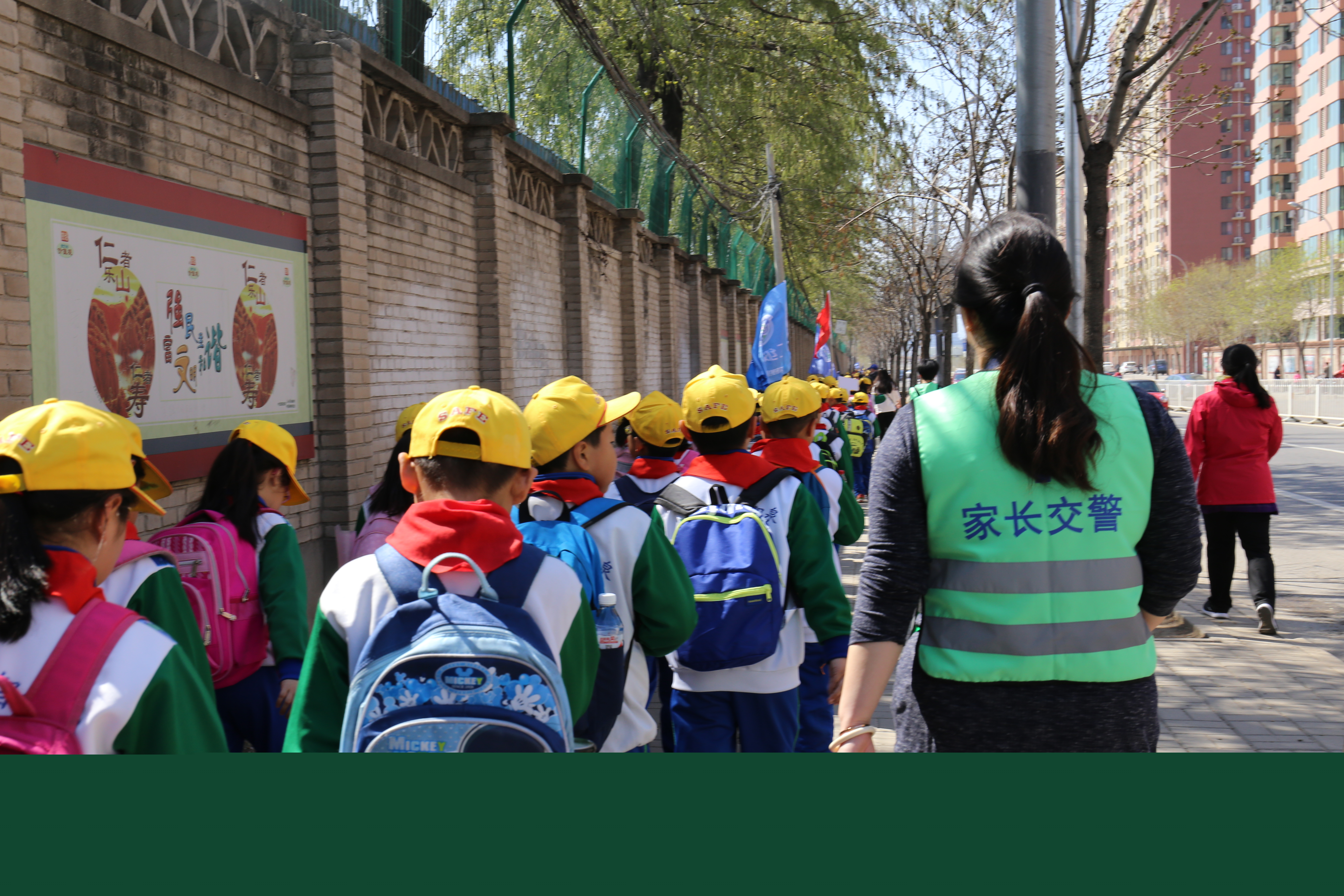 家校共育向专家提问,关于家校共育教育部的专家有哪些