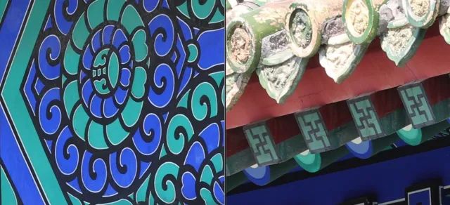 佳能rf100-500mm镜头拍鸟,佳能长焦相机100倍