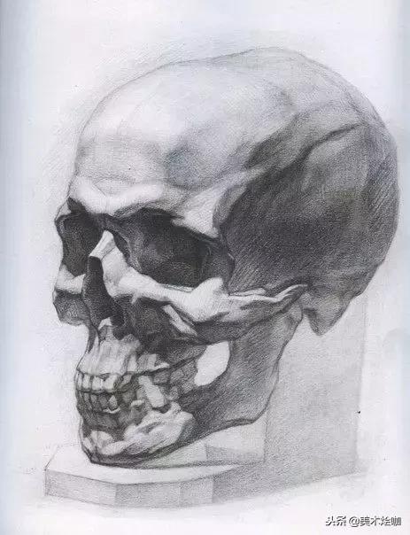 有了画画本和彩色笔还要用什么,有了这些临摹资料你还需要买书吗