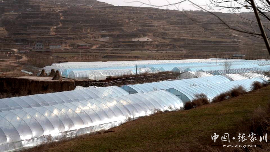 【疫情防控甘肃在行动】战“疫”不误农事:直击一个乡的疫情防控阻击战