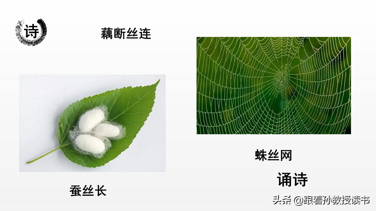 《国民国语》7.4诵诗:蚕丝长,藕丝长,都不及相思长