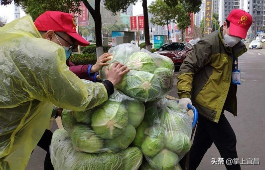 宜昌江边志愿者,你好我是哈尔滨志愿者完整版