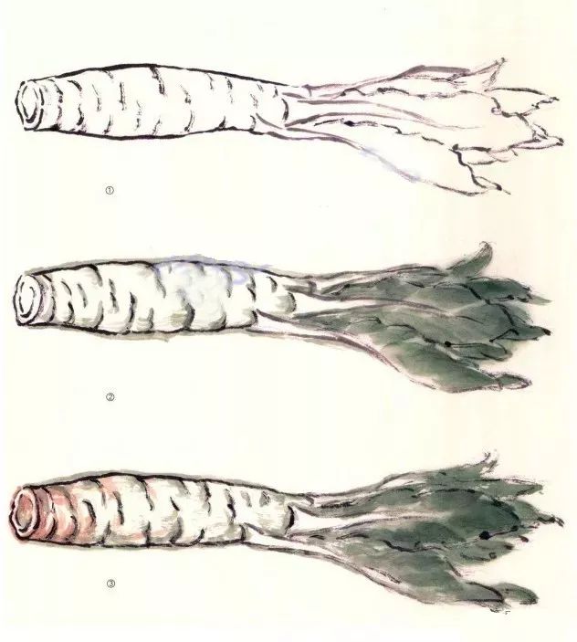 写意蔬果简单画法,国画蔬菜写意作品