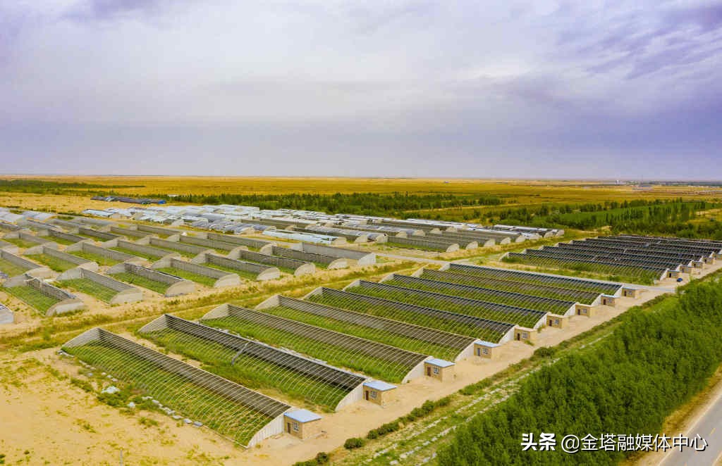 新疆兵团二师37团,新疆生产建设兵团二师22团