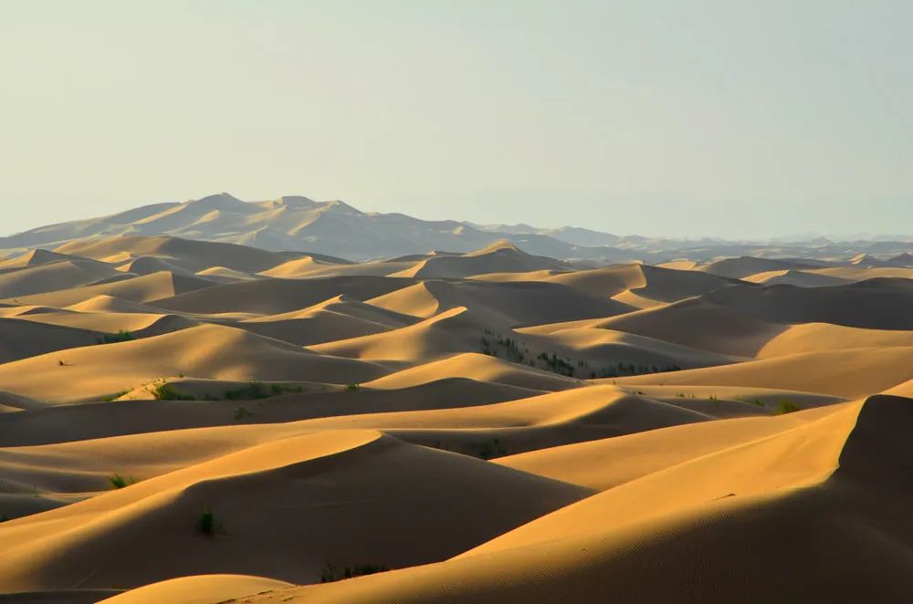 「磴口文化」河套阴山之情韵