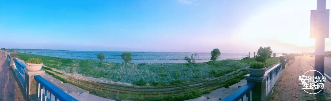 合肥最美的春天景点,合肥春天有哪些好玩的景点