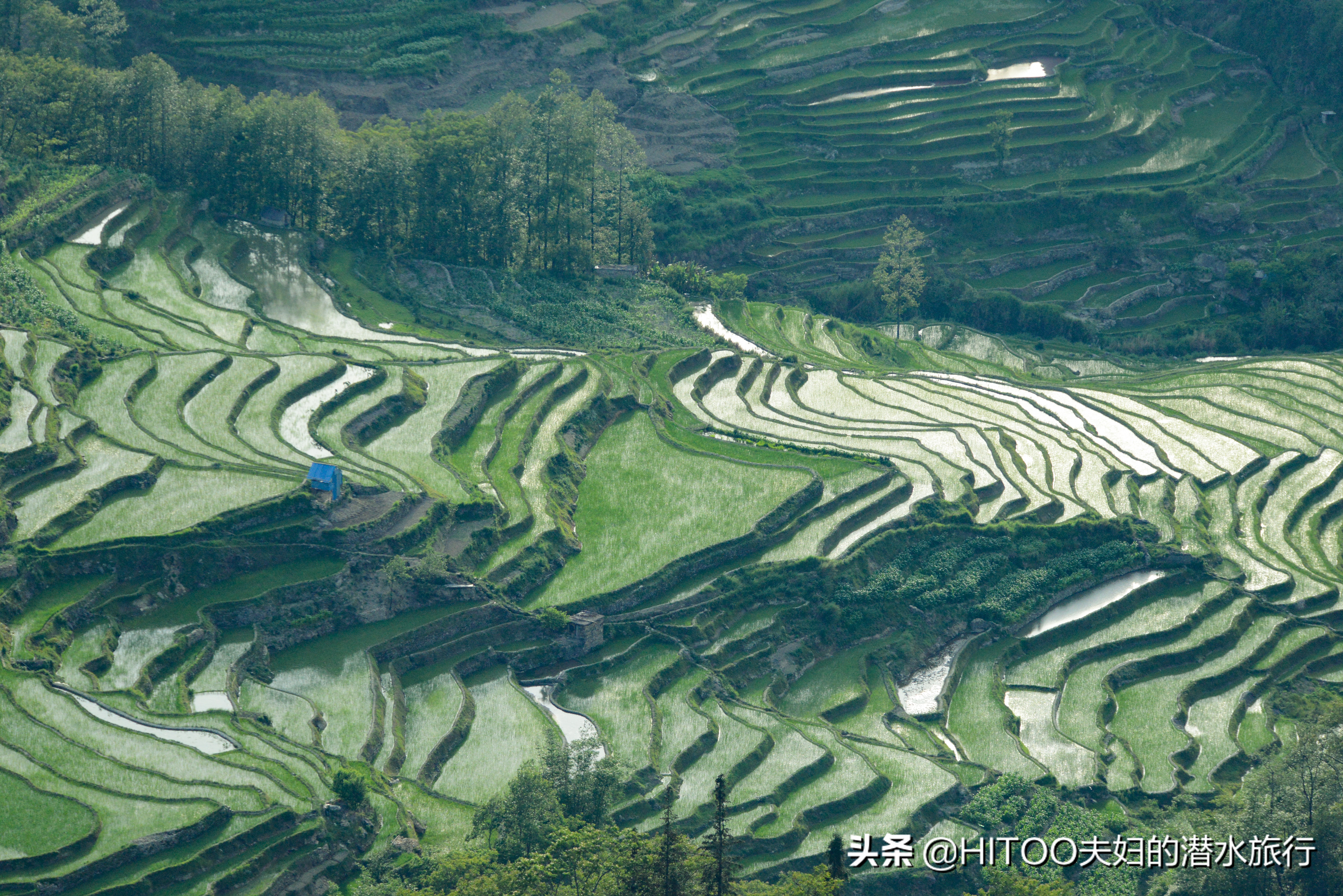 自驾元阳梯田旅游攻略时间,元阳梯田自驾游玩攻略路线